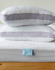 DreamFit® Sheet Set, Pillow, and Mattress Protector Bundle, DreamCool™ Collection