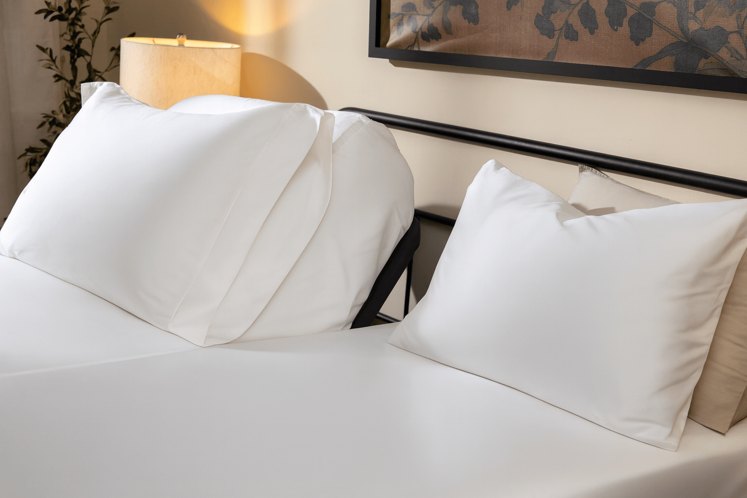 DreamFit® Sheets 100% Egyptian Cotton Sheet Set - Split Size | Luxuriously Smooth and Lasting Comfort 100% Egyptian Cotton Sheet Set | Cooling Sheets