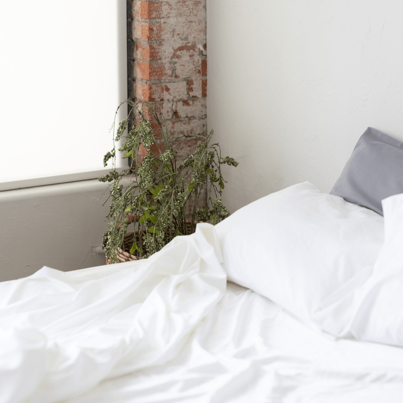 DreamFit® Sheet Set, Pillow, and Mattress Protector Bundle, DreamComfort™ Collection